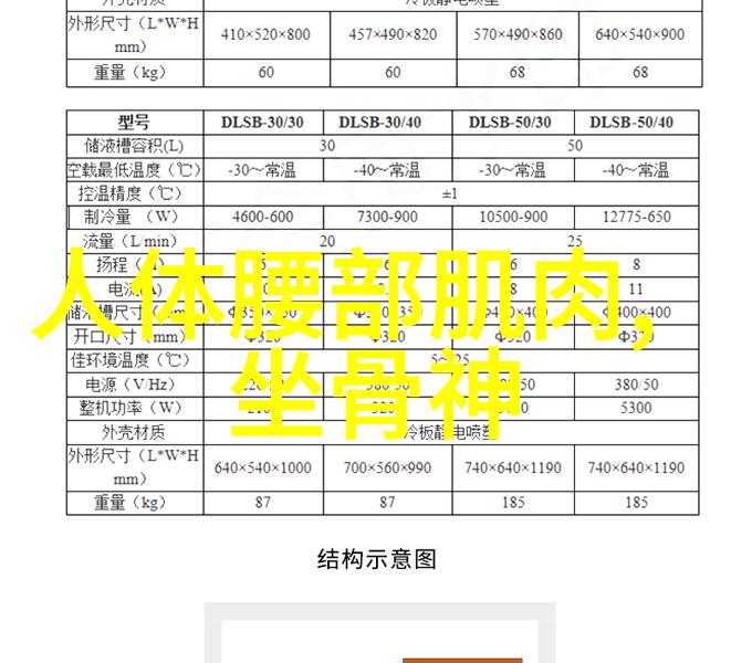 东盟与中日韩健身气功师相聚南宁“发功”