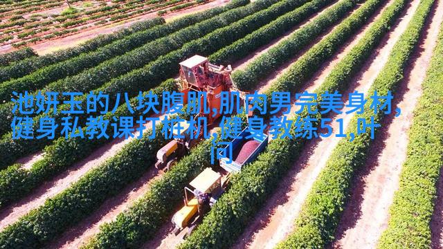 第50届亚洲健身健美锦标赛最新比赛情况,中国第一