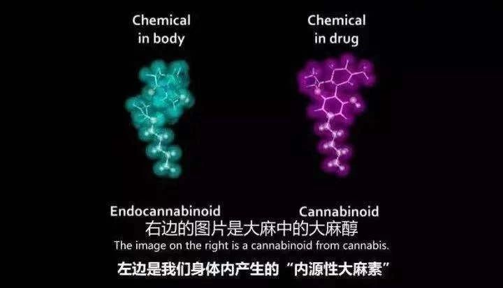 健美健身计划怎么写_健美健身计划一周表_健身健美计划/