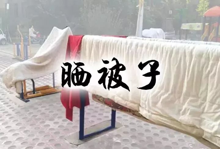 无器械训练和器械健身哪个减肥快_健身健美器械_器械健身/