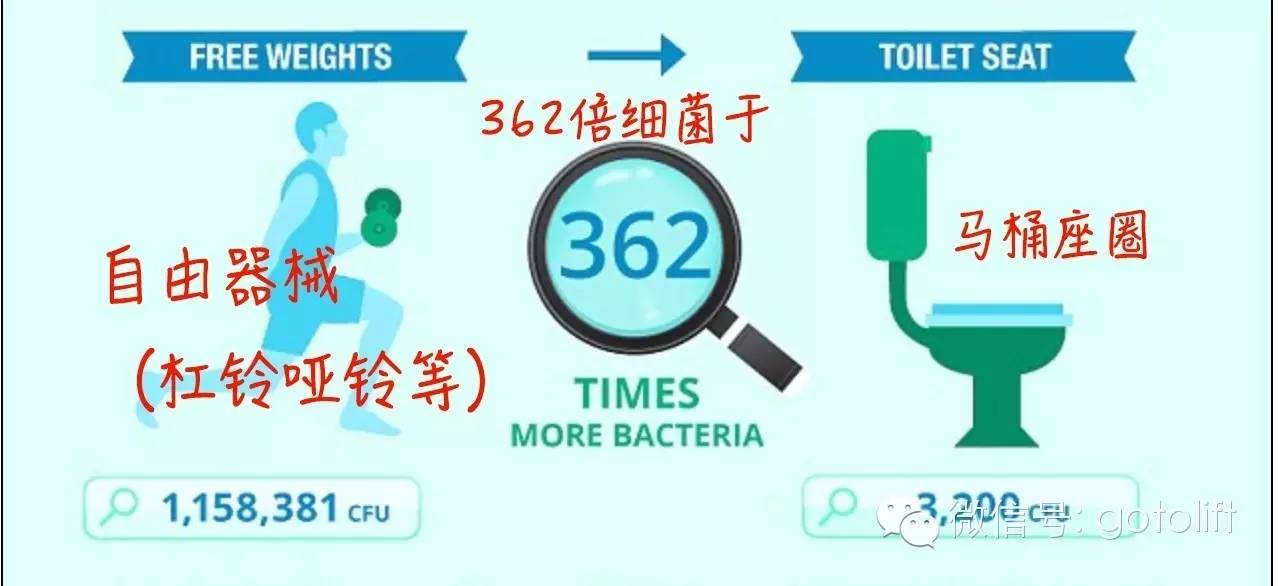 器械健美训练一周几次_无器械训练和器械健身哪个减肥快_健身健美器械/